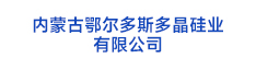 11內(nèi)蒙古鄂爾多斯多晶硅業(yè) 有限公司